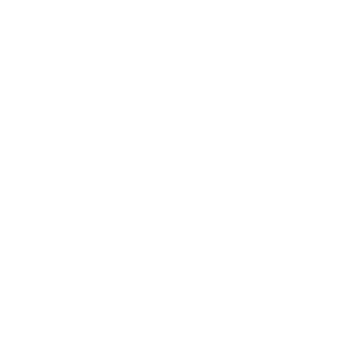 penguin village