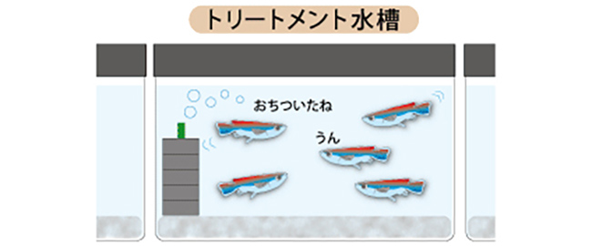 トリートメントの仕組み